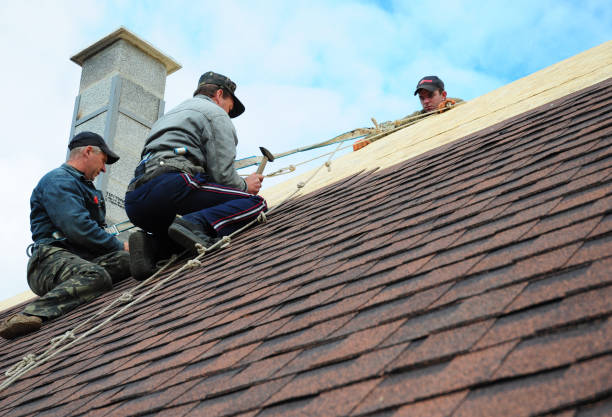 Best Roof Gutter Cleaning  in Lake Hamilton, FL