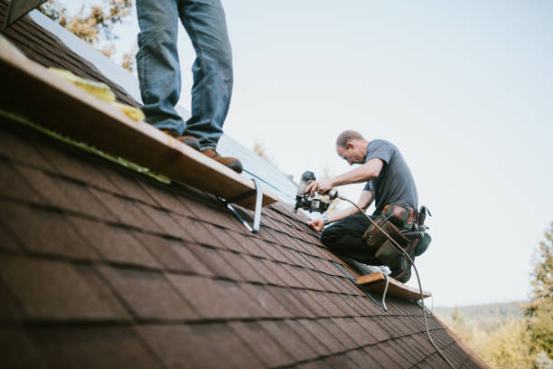 Quick and Trustworthy Emergency Roof Repair Services in Lake Hamilton, FL