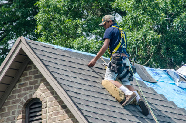 Best Commercial Roofing Services  in Lake Hamilton, FL